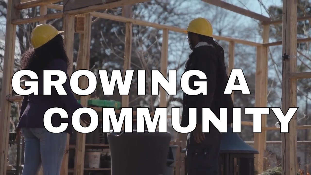 Growing a Community | The Sustainability Project, The Grow Op, & Sacred Groves