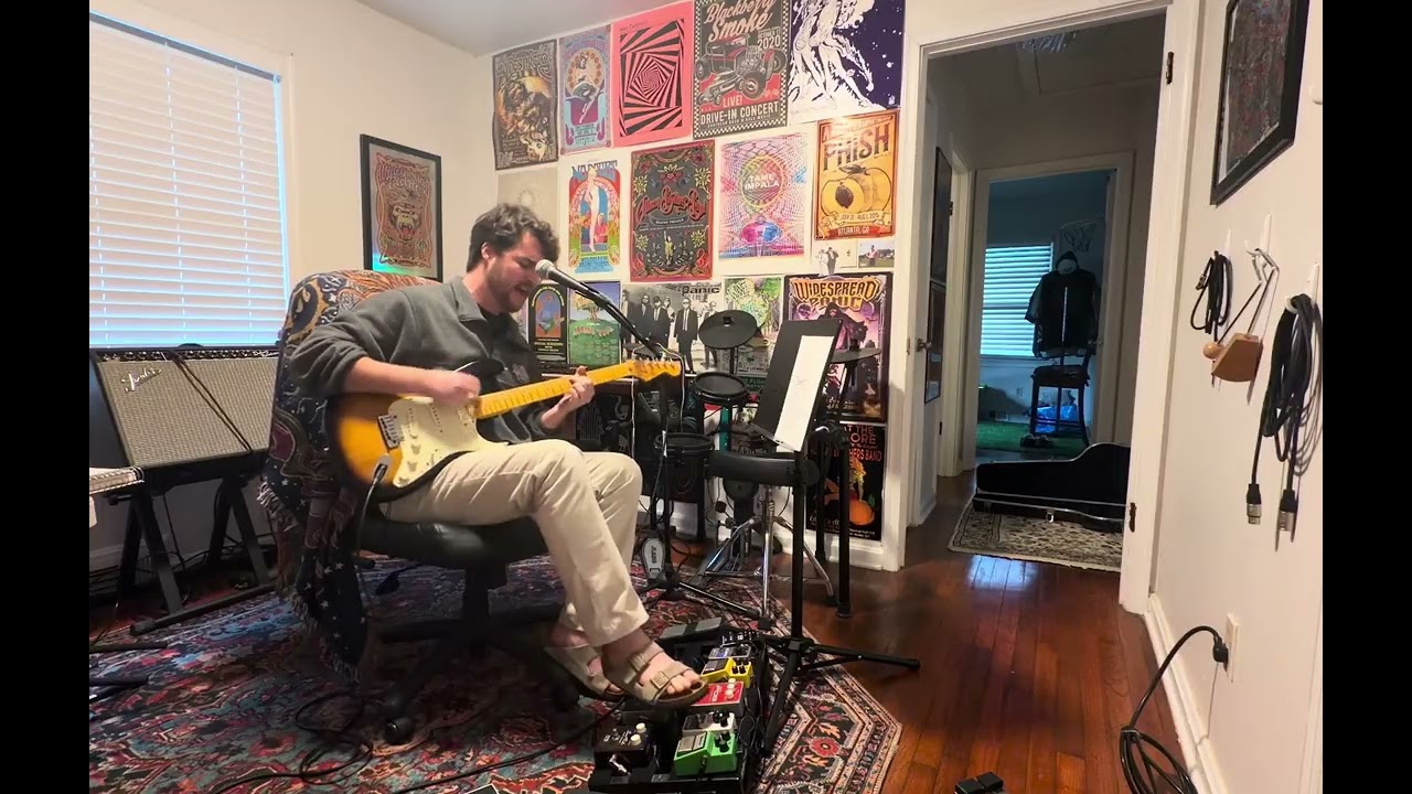 Diner by Widespread Panic Cover