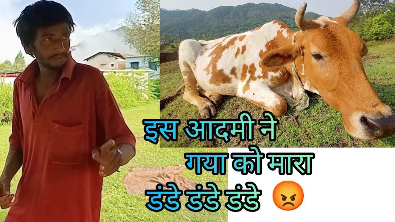 इस आदमी ने गया को मारा डंडे डंडे 😡😡 पागल आदमी 