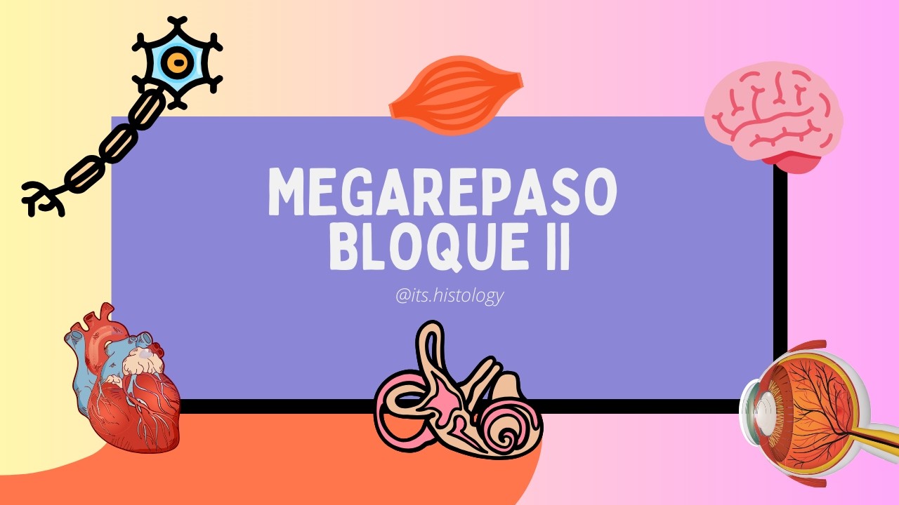 MEGAREPASO Bloque II (parte 2) - 2026