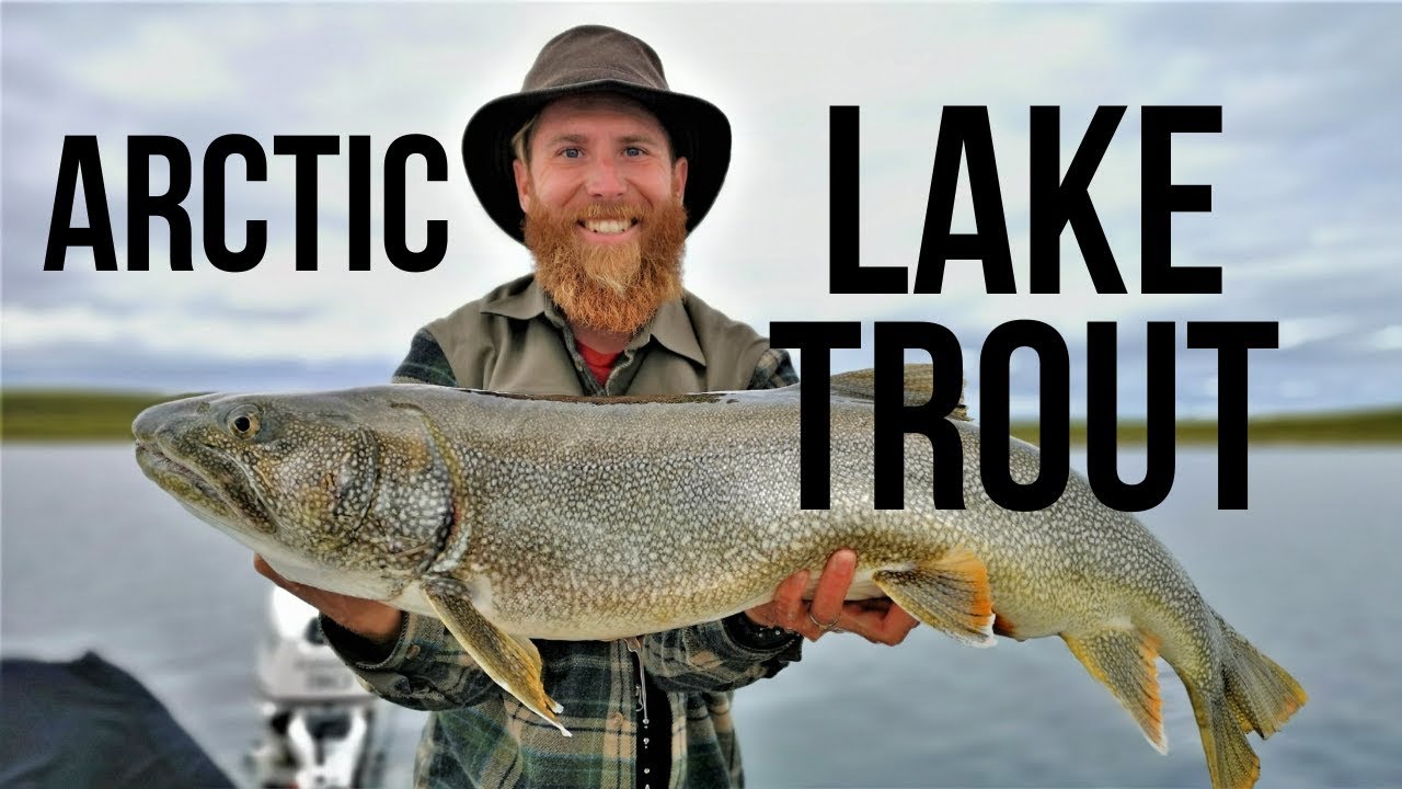 FISHING at AYLMER LAKE LODGE in the NORTHWEST TERRITORIES - HUGE LAKE TROUT