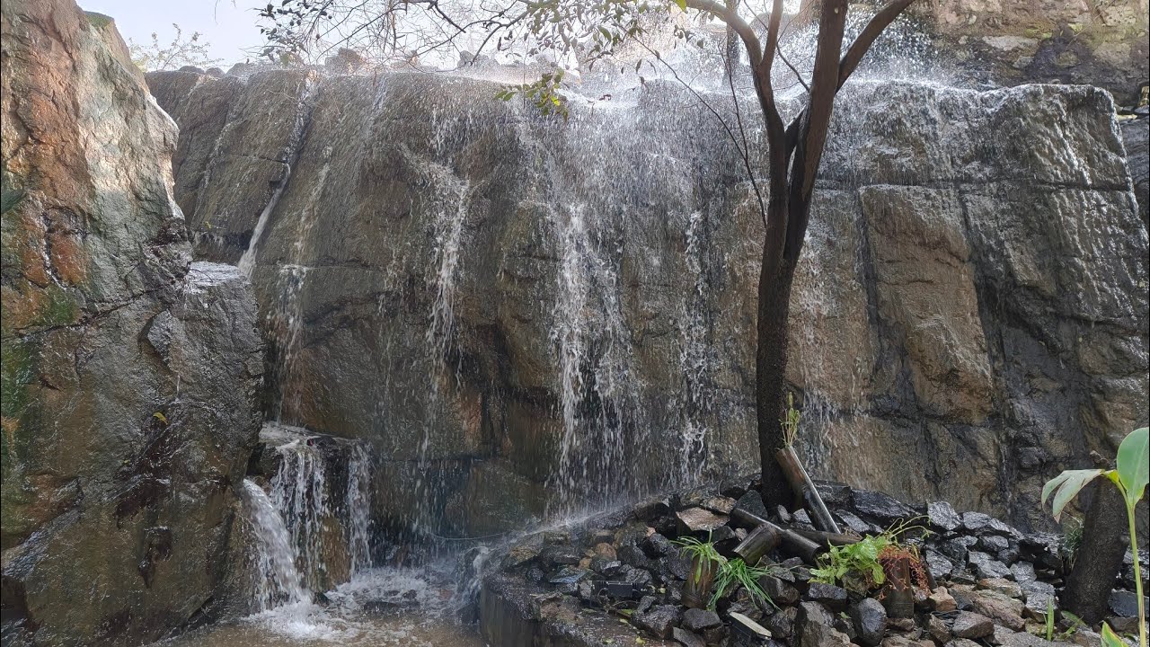 A Morning in Sanjay Van: Delhi’s Secret Forest Walk & Bird Watching 🦜