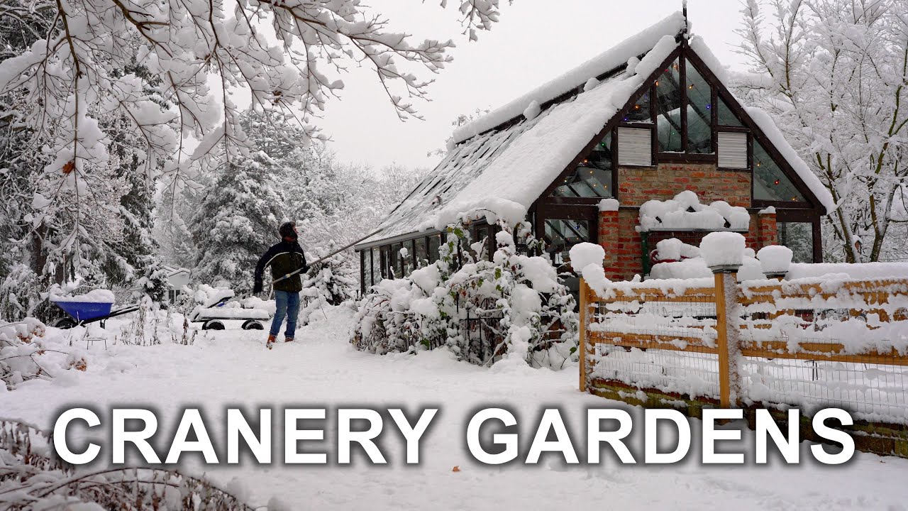 Winter Garden Protection: Don't Skip This