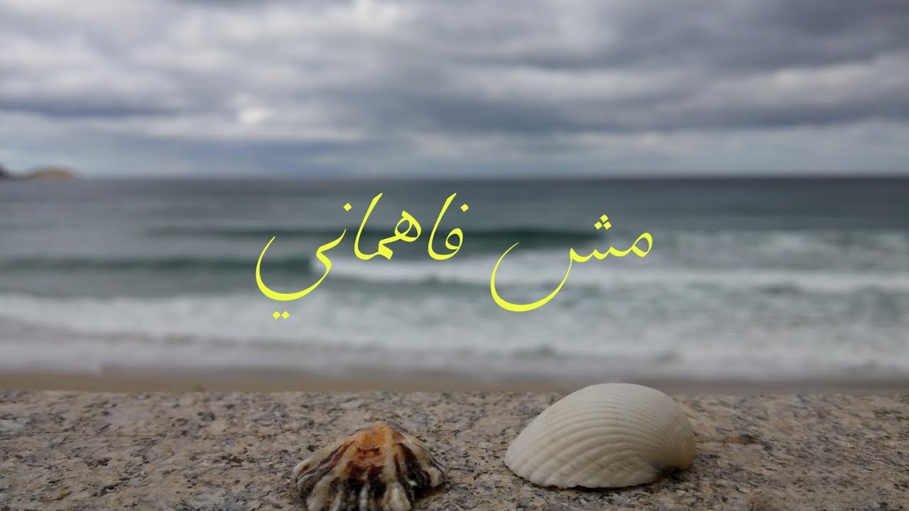 Ramez Risisky _ Msh Fhmany | مش فاهماني (OFFICIAL AUDIO).