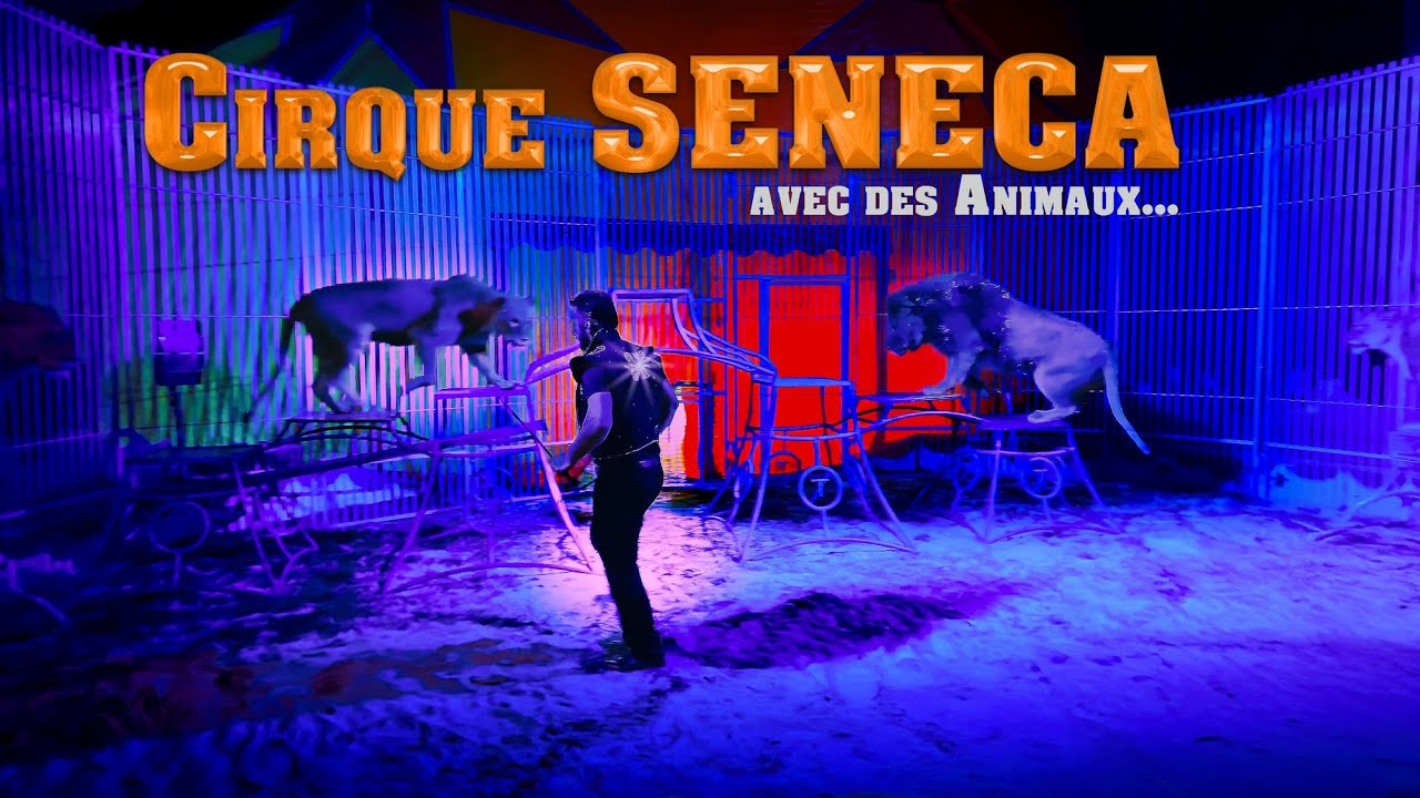 CIRQUE SENECA : Lions, Hula hoop, Clown, Jonglage et des dizaines d'animaux de cirque.