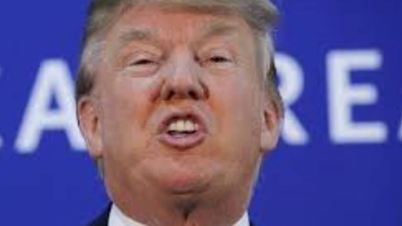 The stupid trump song!