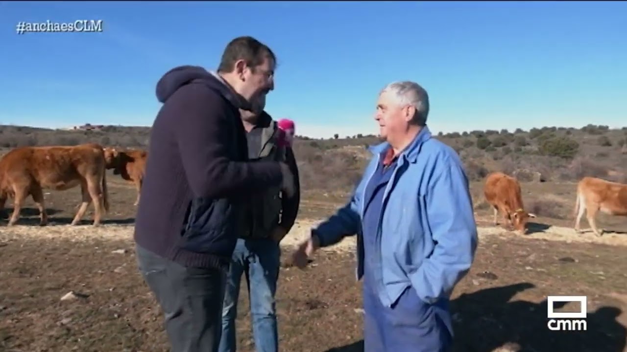 Conocemos el primer vallado virtual de Guadalajara I Ancha es Castilla-La Mancha