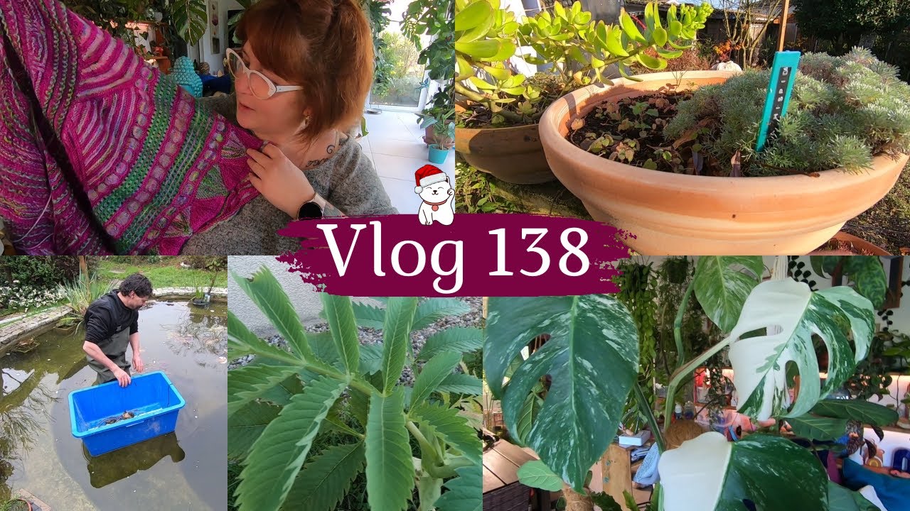 VLOG 138🌿Beau temps au jardin | Questions plantes et du Bla Bla | Finitions de l'entretien du bassin