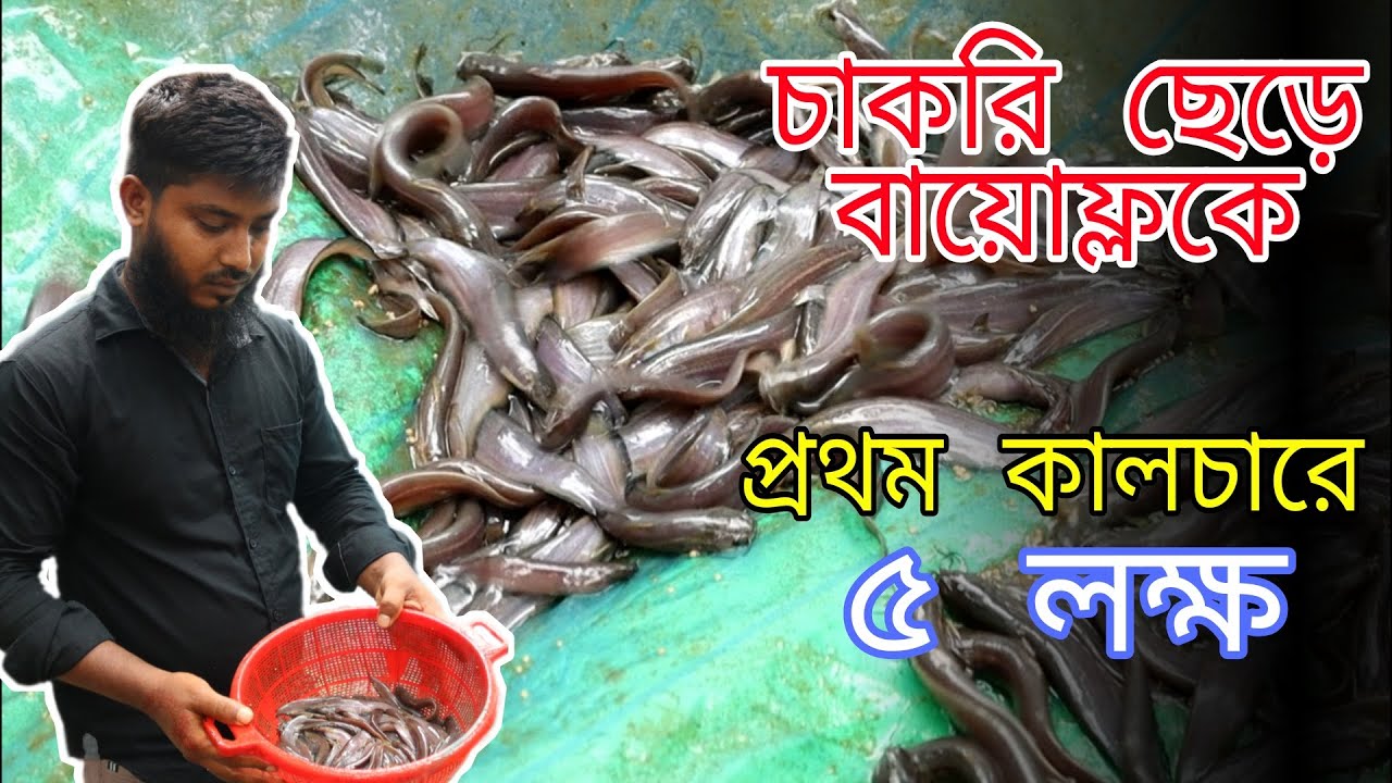 চাকরি ছেড়ে বায়োফ্লকে আসলাম আল্লাহ ভরসা-Aslam Allah trusted in the bioflock after leaving the job !!!