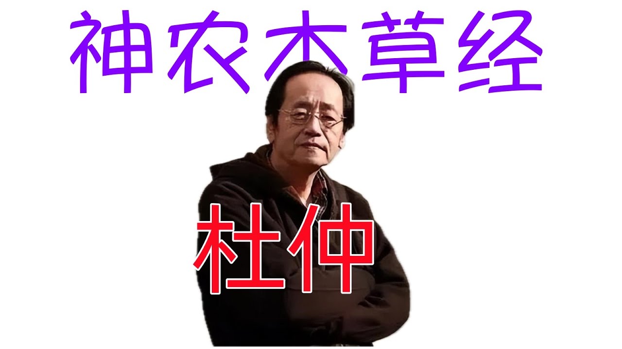 倪海廈《神農本草經》細分版： 107杜仲、錦杜仲