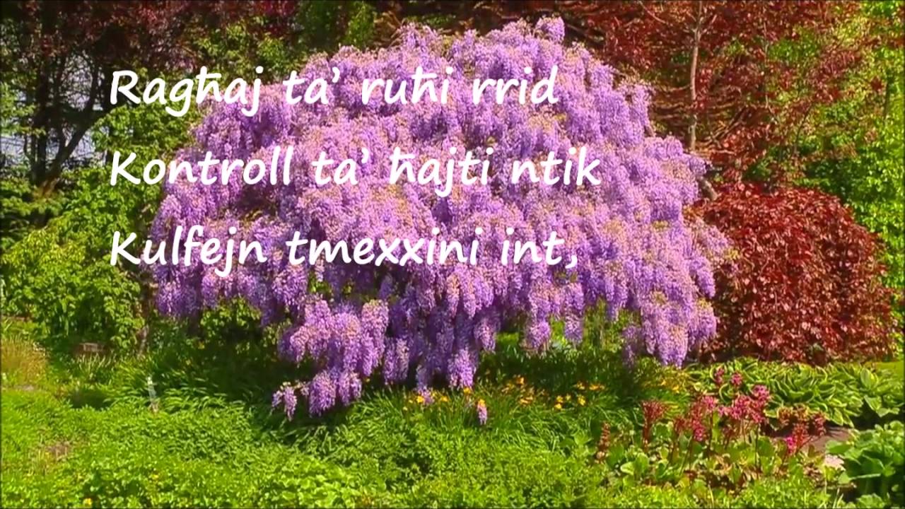 Ragħaj ta' ruħi - Andrew Cauchi