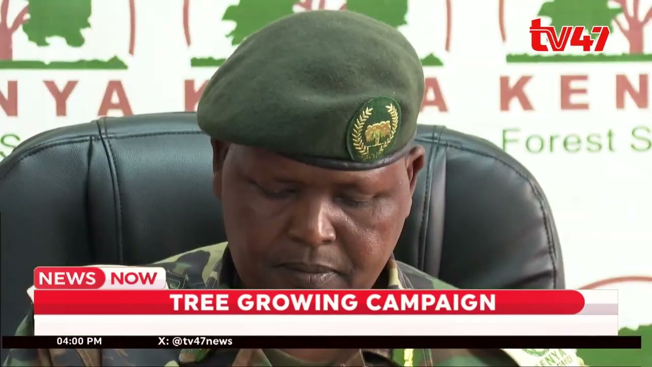 Kenya Forest Service notes 150 million seedlings have been planted after President Ruto's initiative