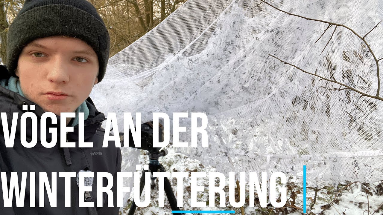 Vögel an der Winterfütterung fotografieren | Mein erster Versuch