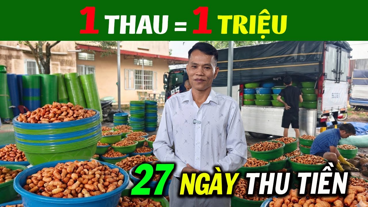 Bỏ Chăn Nuôi Truyền Thống, Nông Dân Đồng Nai Kiếm Tiền Tỷ Từ Đuông Dừa Thái Lan