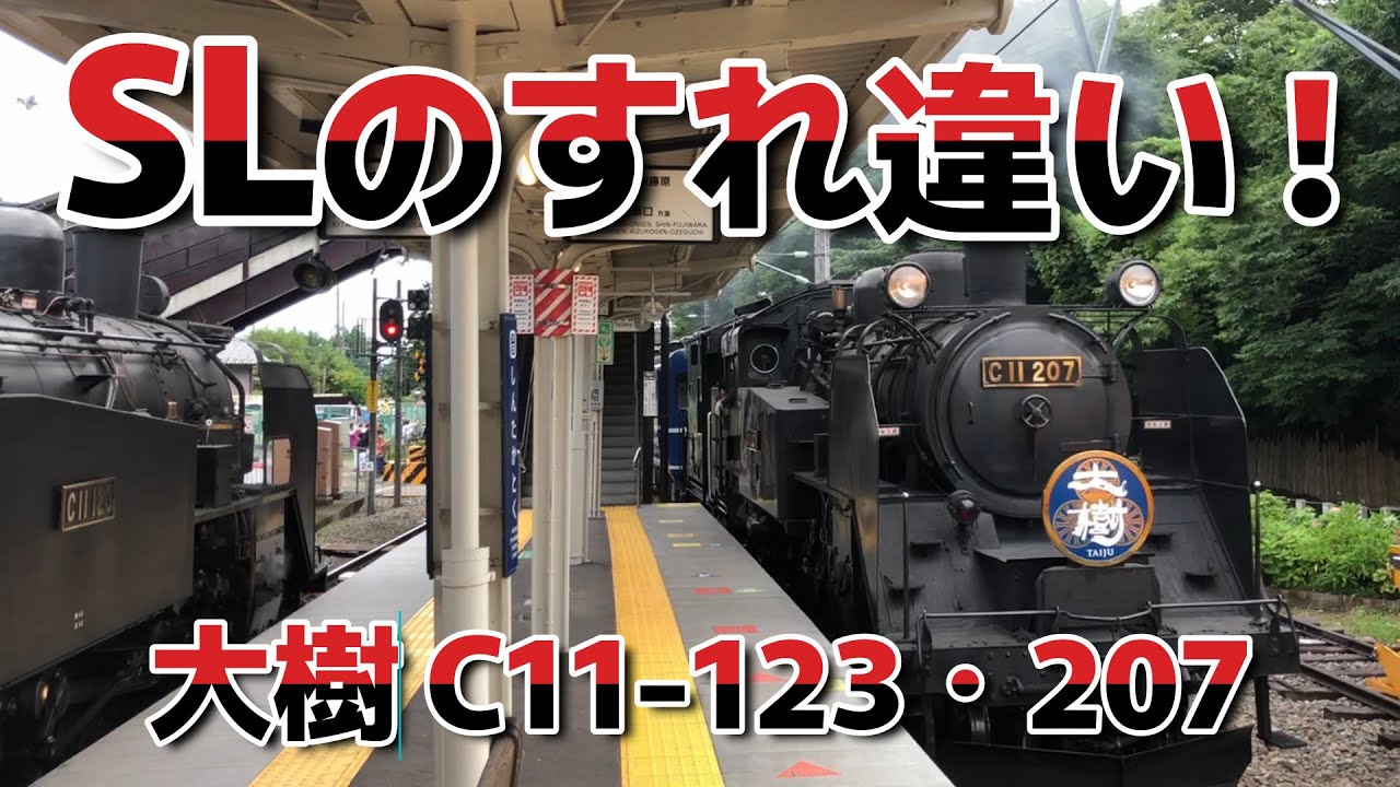 【珍しいSL同士のすれ違い】大樹C11-123とC11-207  [Rare SLs passing each other] Taiki C11-123 and C11-207