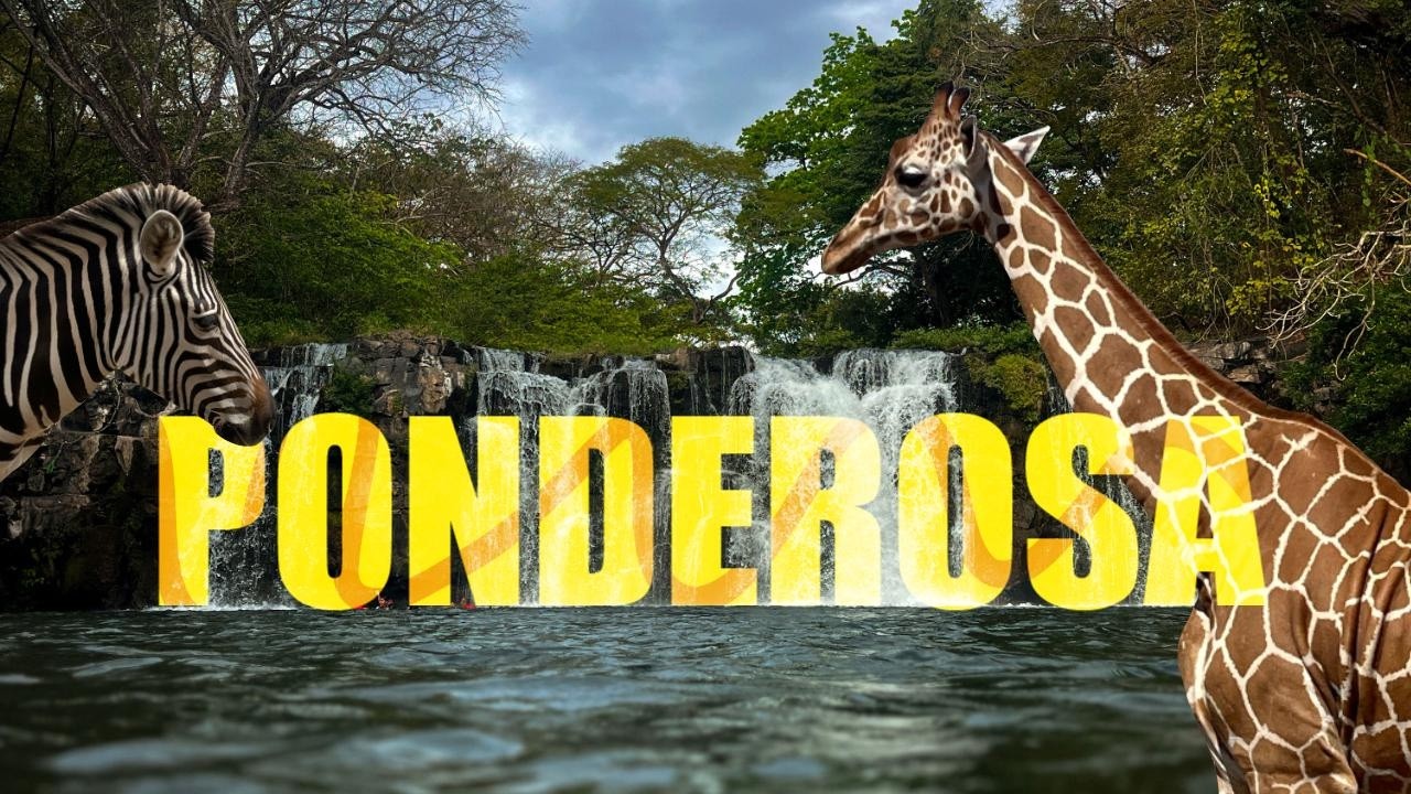 De alimentar jirafas al canopy: nuestra aventura familiar en Ponderosa Adventure Park