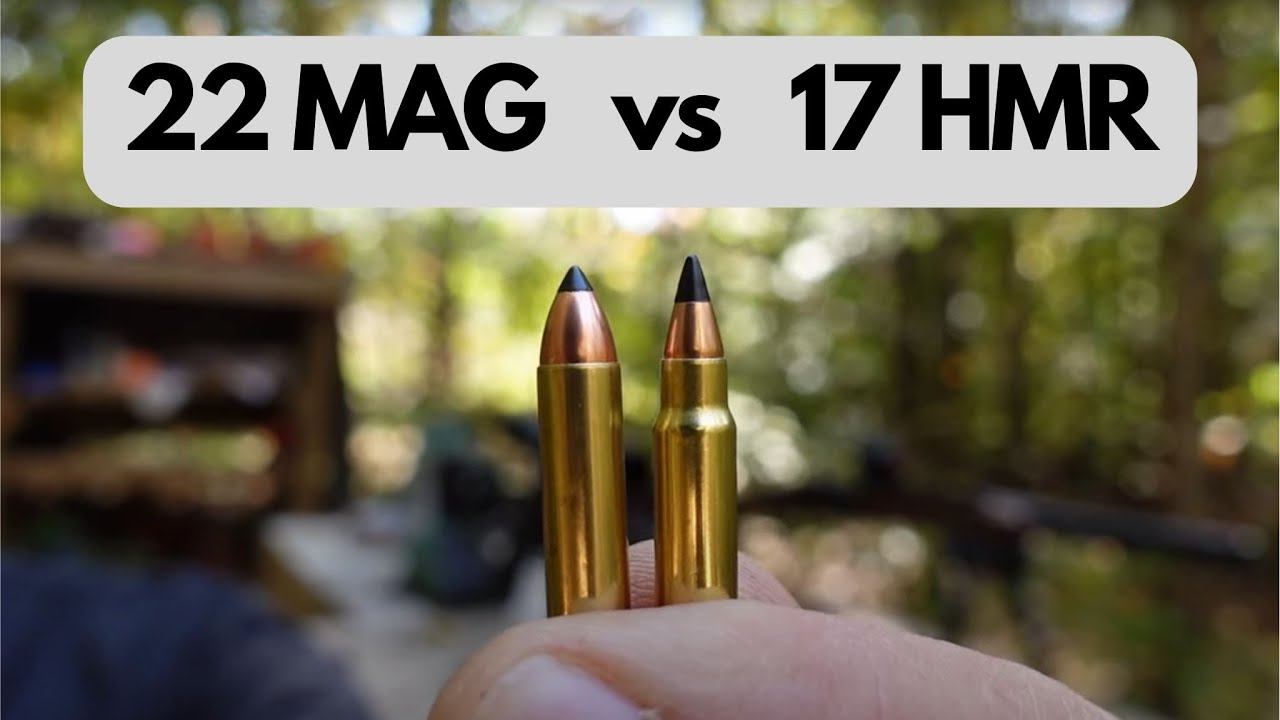 17 HMR v 22 MAG