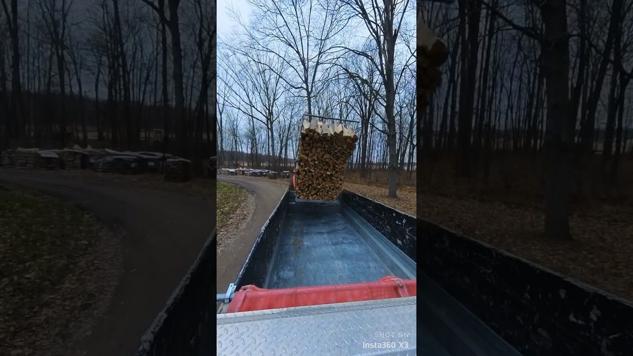 Easily Loading 1/2Cord Firewood! #firewood #shorts