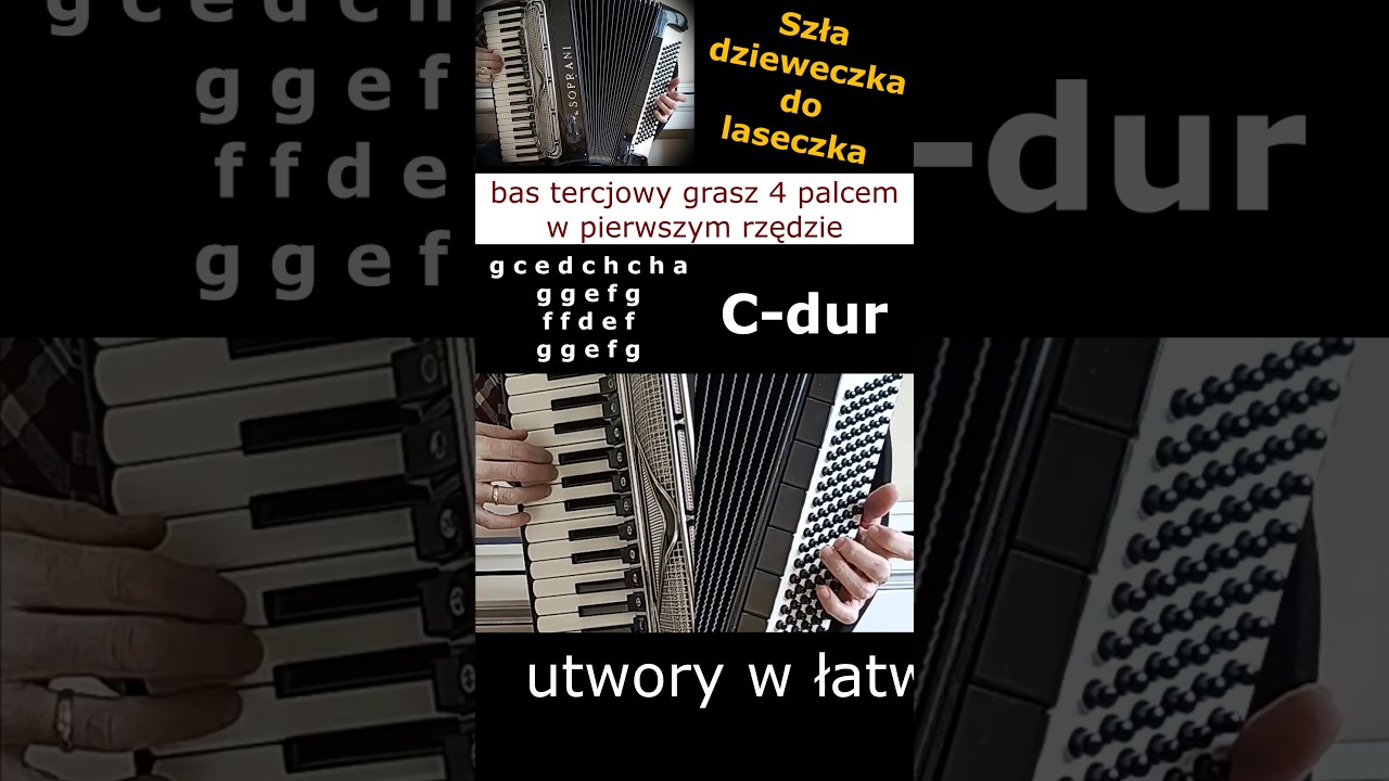 Szła dzieweczka do laseczka 🪗Jak grać na basach tercjowych?#tutorial #biesiada #akordeon #nuty