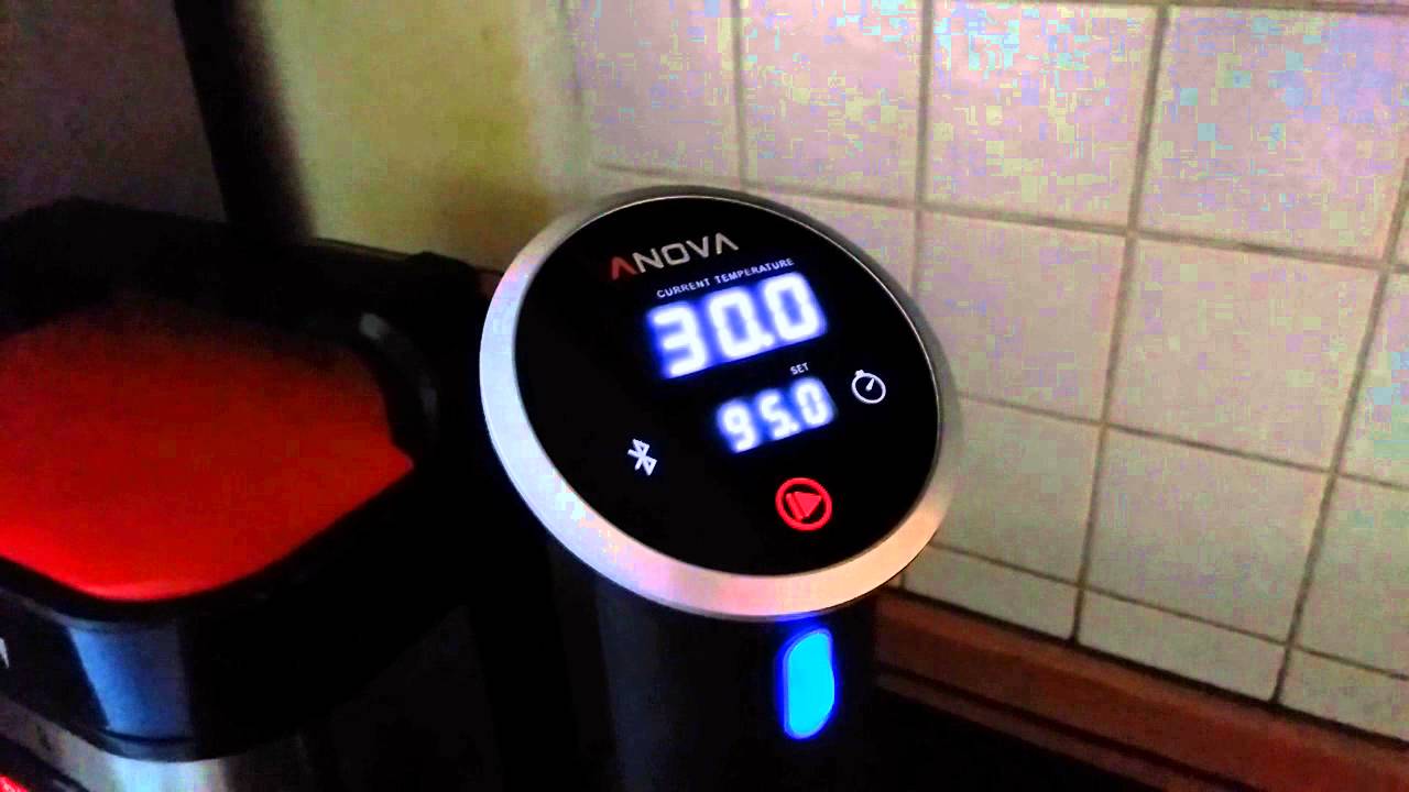 Обзор anova precision cooker sous vide