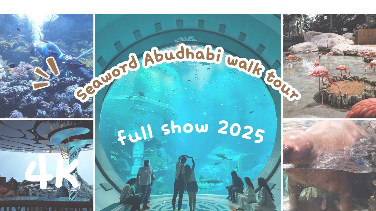 4K Seaworld Abu Dhabi walking tour +show 