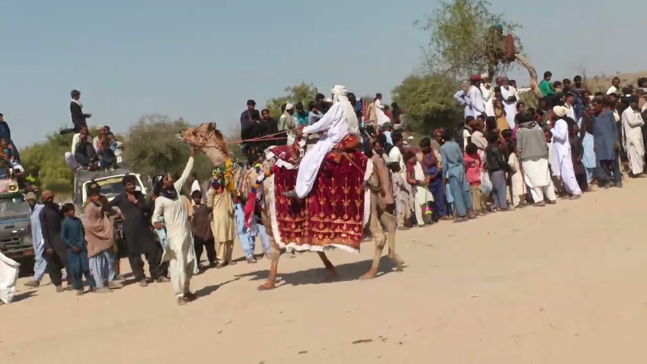 #nature #subscribemychannel #pelese 