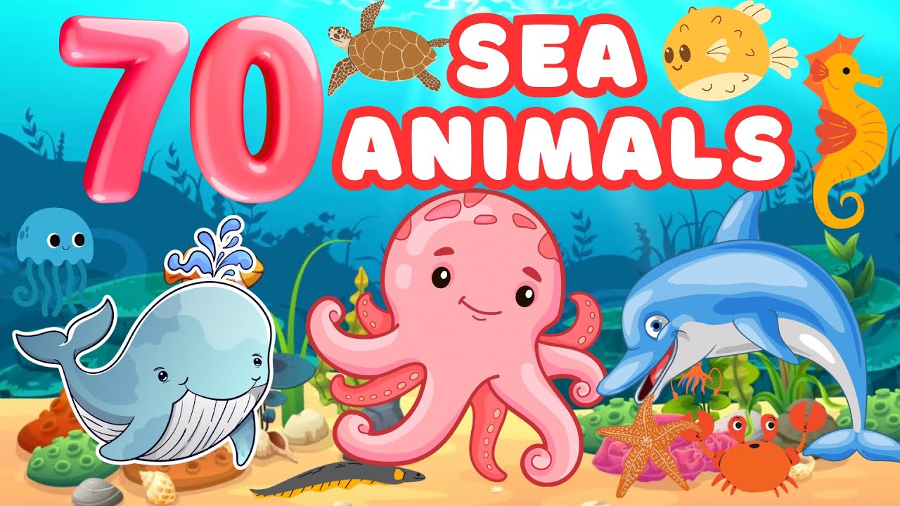 70 Sea Animals for Kids | Learn Names and Fun Ocean Facts!