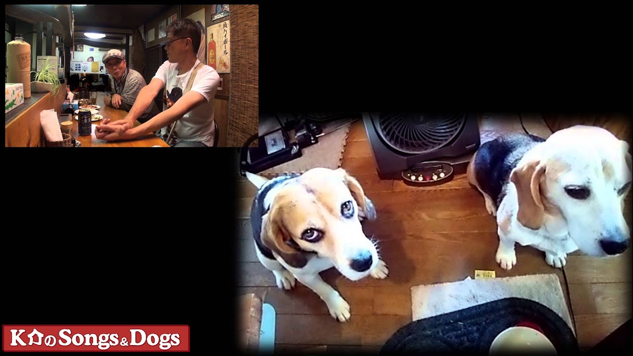 K介のSongs＆Dogs週末はミュージシャン９３