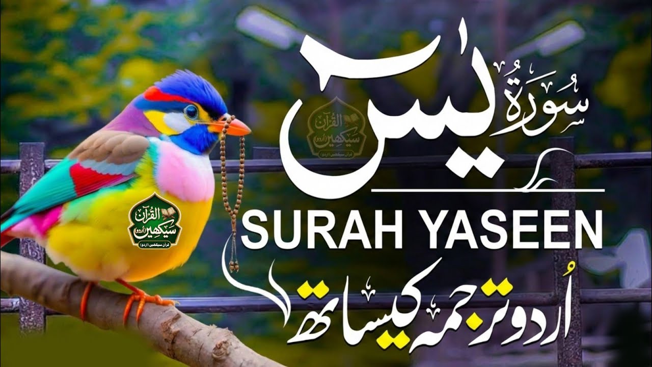 Surah Yaseen Complete Tilawat | Urdu Translation | Emotional Quran Recitation | Hindi Tarjuma