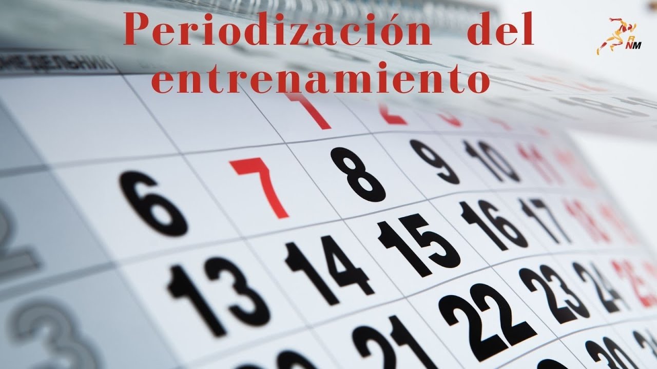 Periodización del entrenamiento