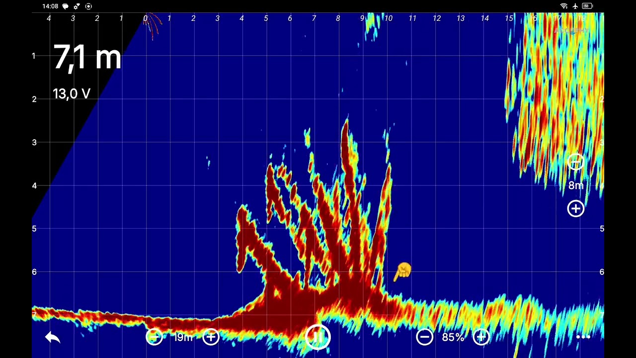 Accuphy Ping Live Sonar. Отличная Альтернатива Panoptix и Active Target