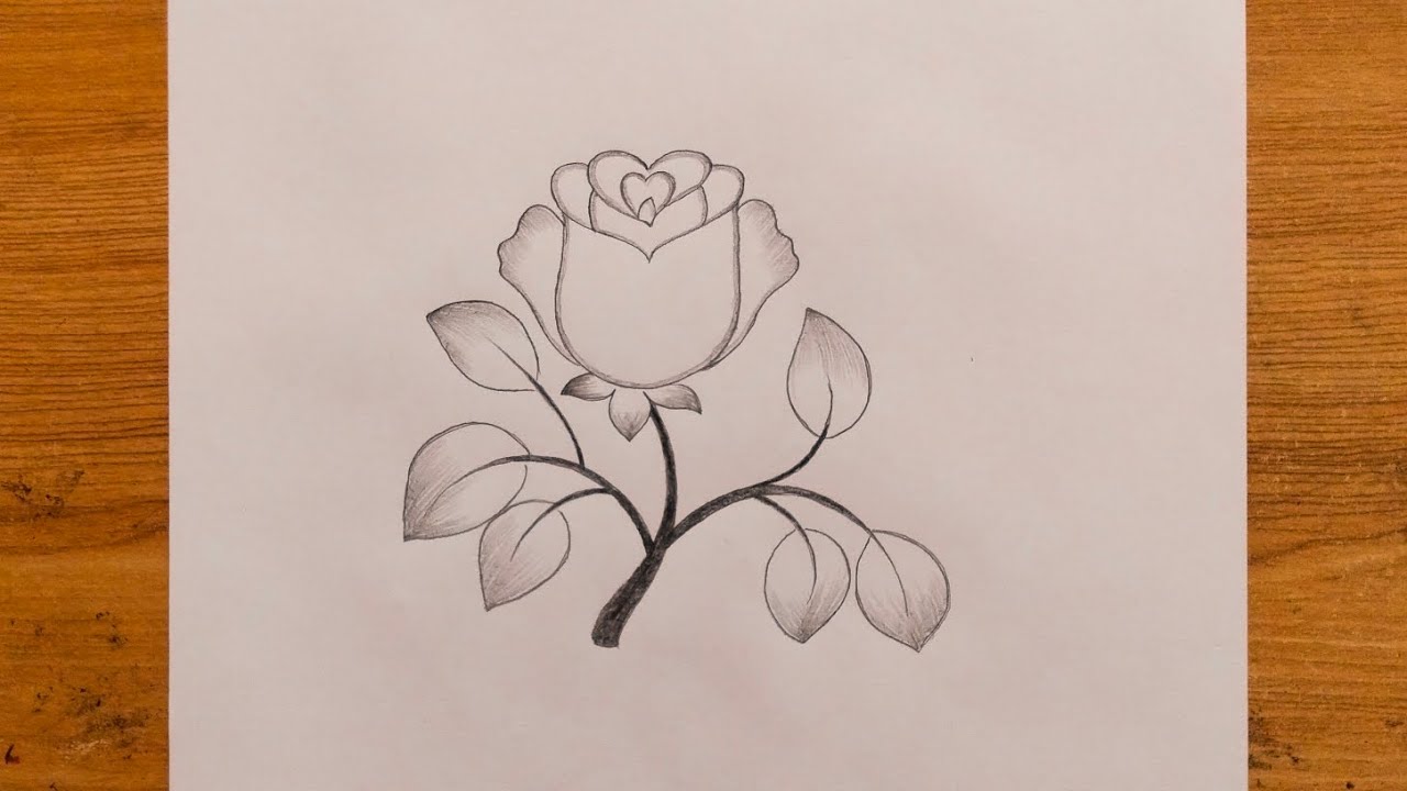 Learn how to draw a rose drawing step by step|Rose drawing with heart easy 