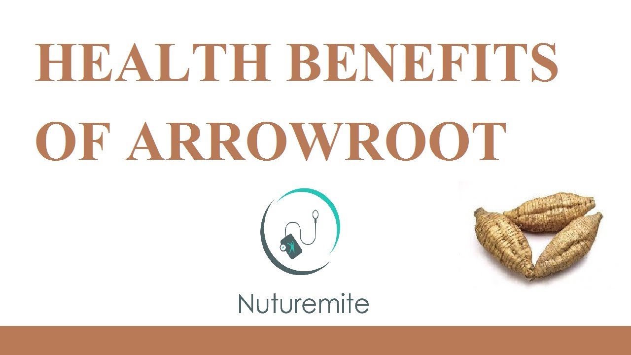 The Nutrient Food Arrowroot: A Potential Source of Protein &A Potential Preventive for Heart Disease