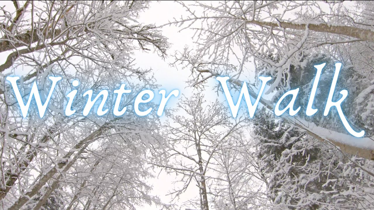 Virtual Winter Walk Unterschächen SWIZTERLAND Snow Forest HAPPINESS