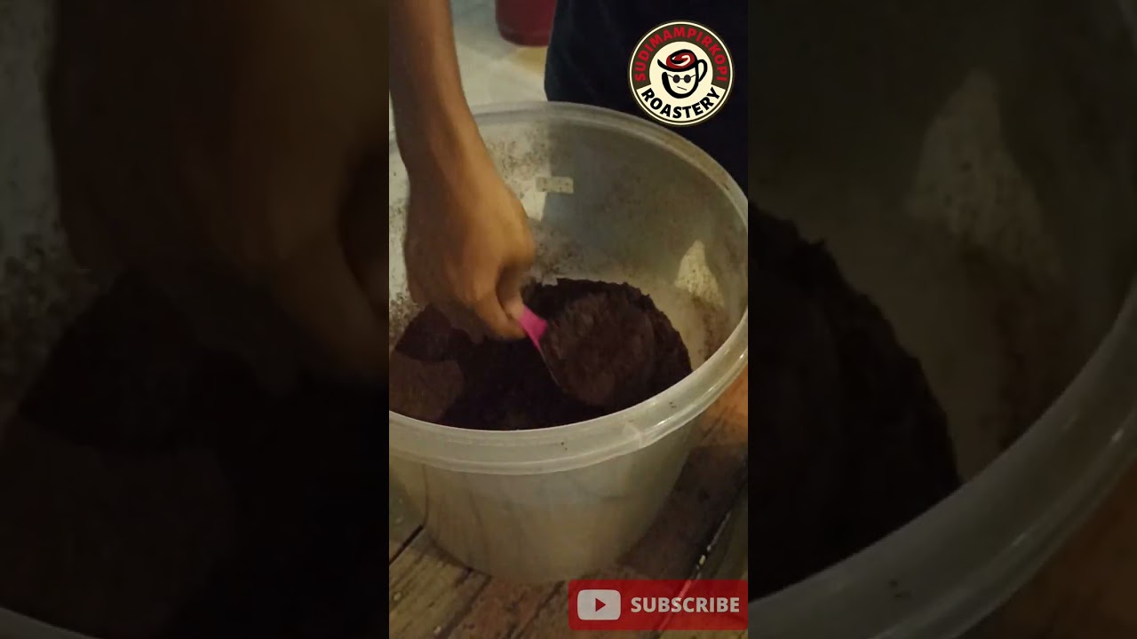 Giling Kopi menggunakan YAMAMOTO SY 150 (1KG Mandailing)