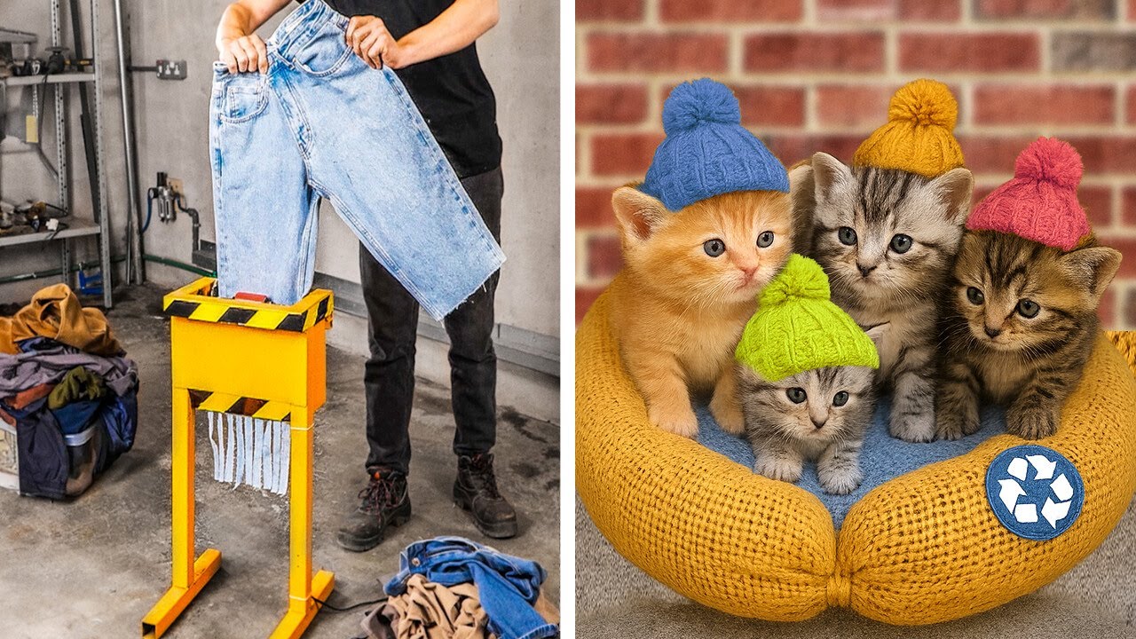 Recycle and Create: Clever Eco-Friendly Craft Ideas from Everyday Items ♻️💡