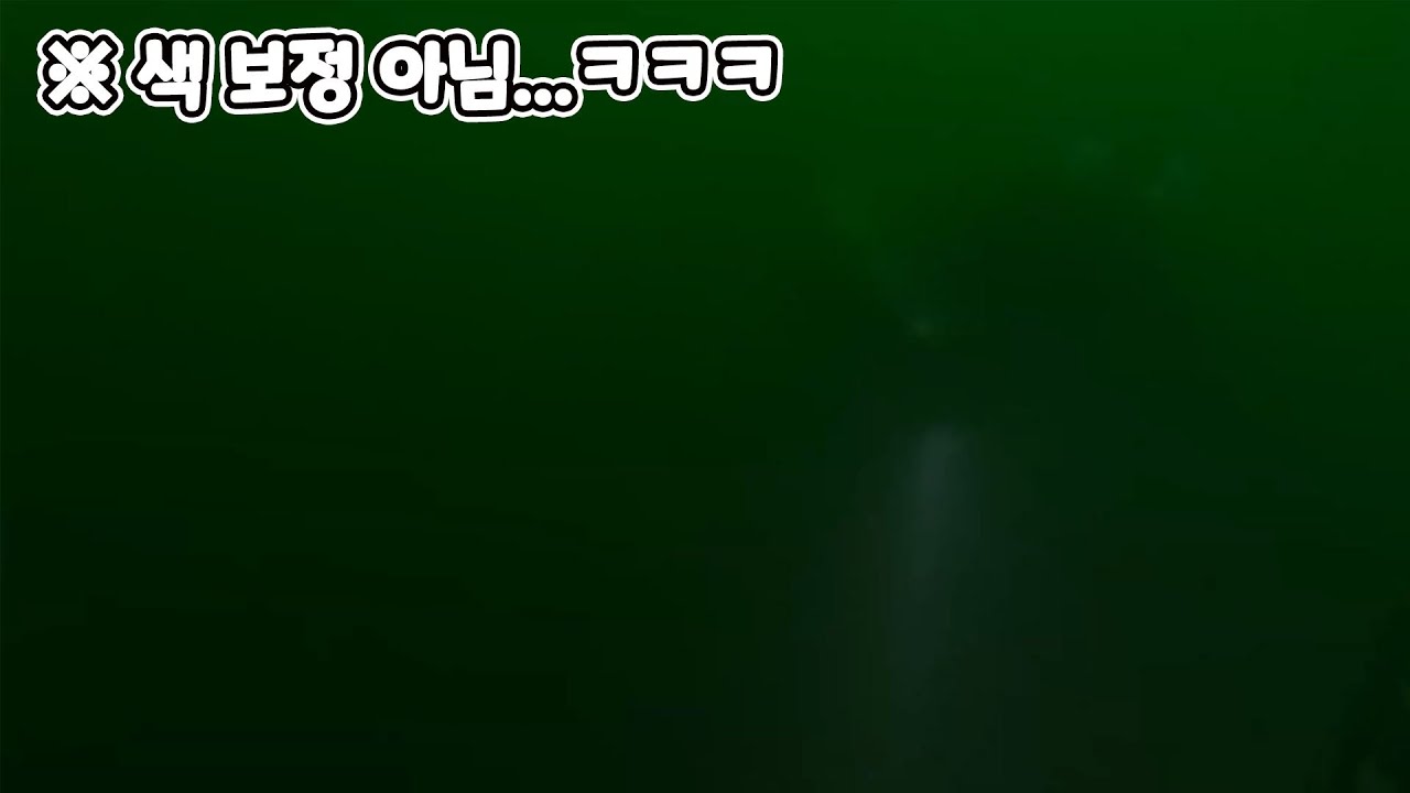 실제상황🤢 스쿠버 다이빙 하러 동해바다 갔는데; 녹물이야 뭐야;; 시야 난리 났던 다이빙 후기