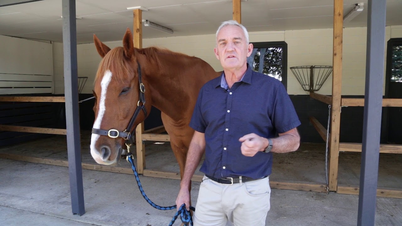 Equitation Science 2nd Edition Book | Andrew McLean