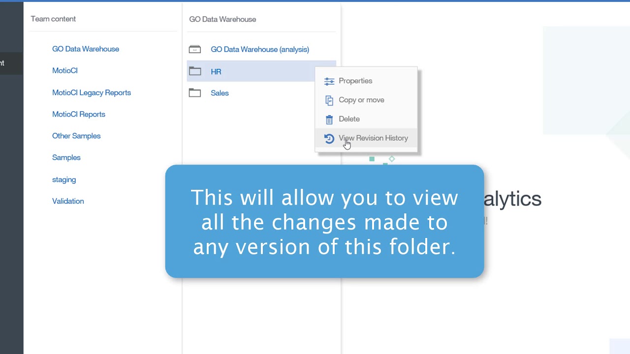 Versioning all Properties of Cognos Objects