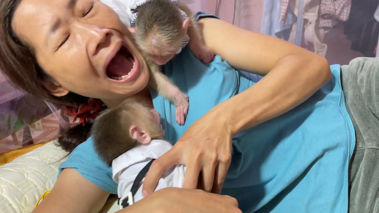 Alien Monkey out of control & wanna bully Princess Alice Monkey & mom