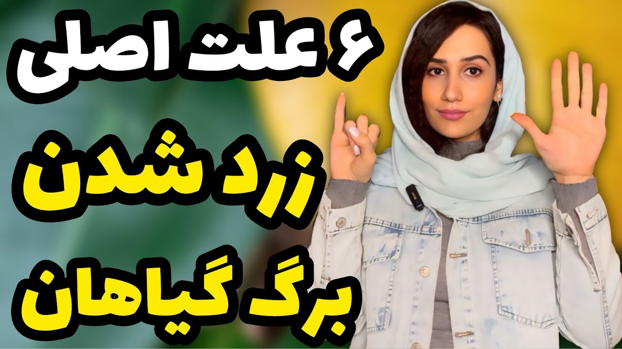 ۶ علت اصلی که باعث زرد شدن برگ گیاهان میشه!
