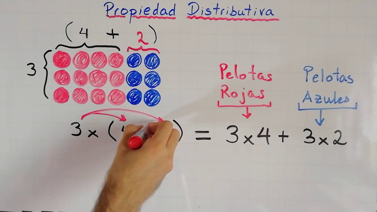 Propiedad Distributiva | Explicación gráfica y aritmética | Propiedades de la suma y multiplicación