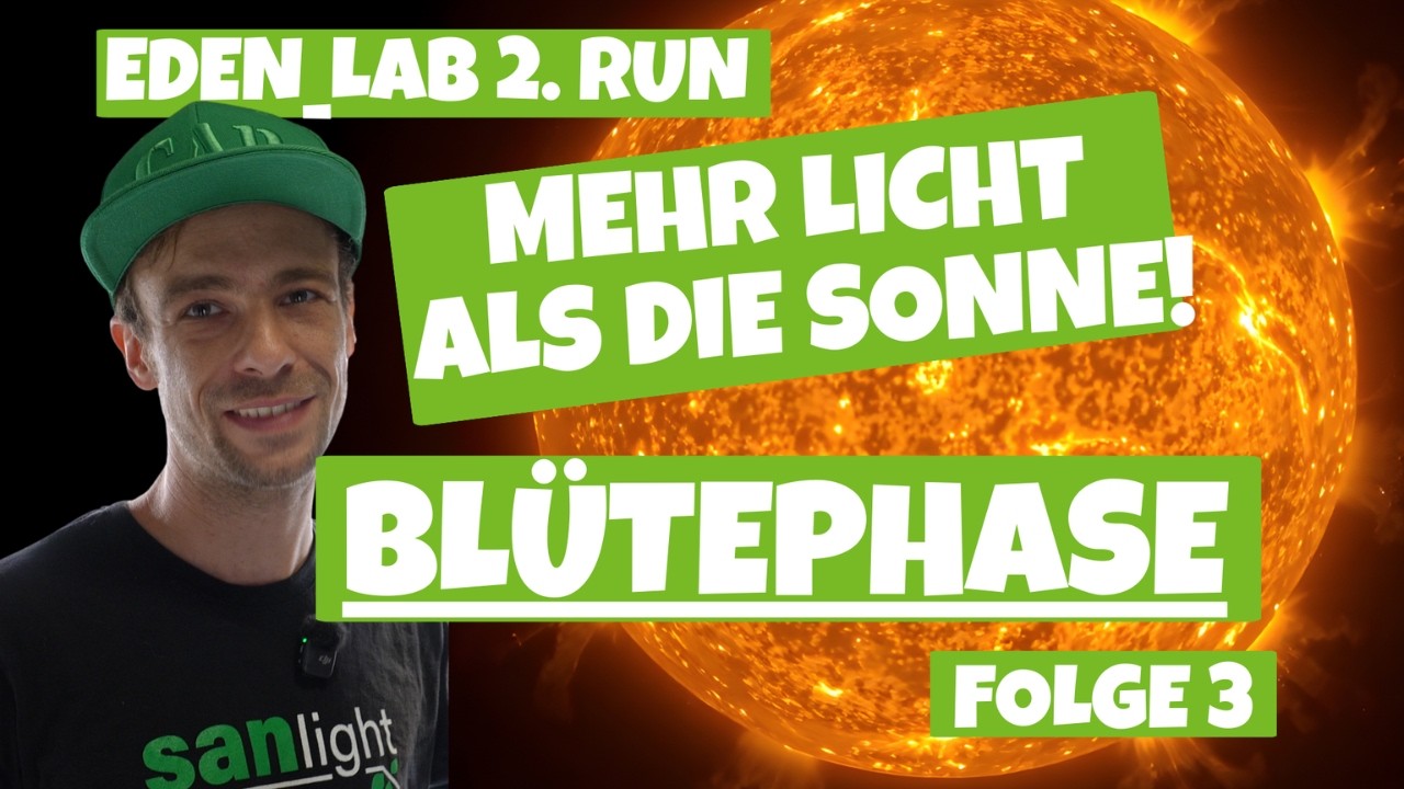 Welche Pflanzen sehen besser aus? Mehr Licht=Qualität? Update Eden LAB 3