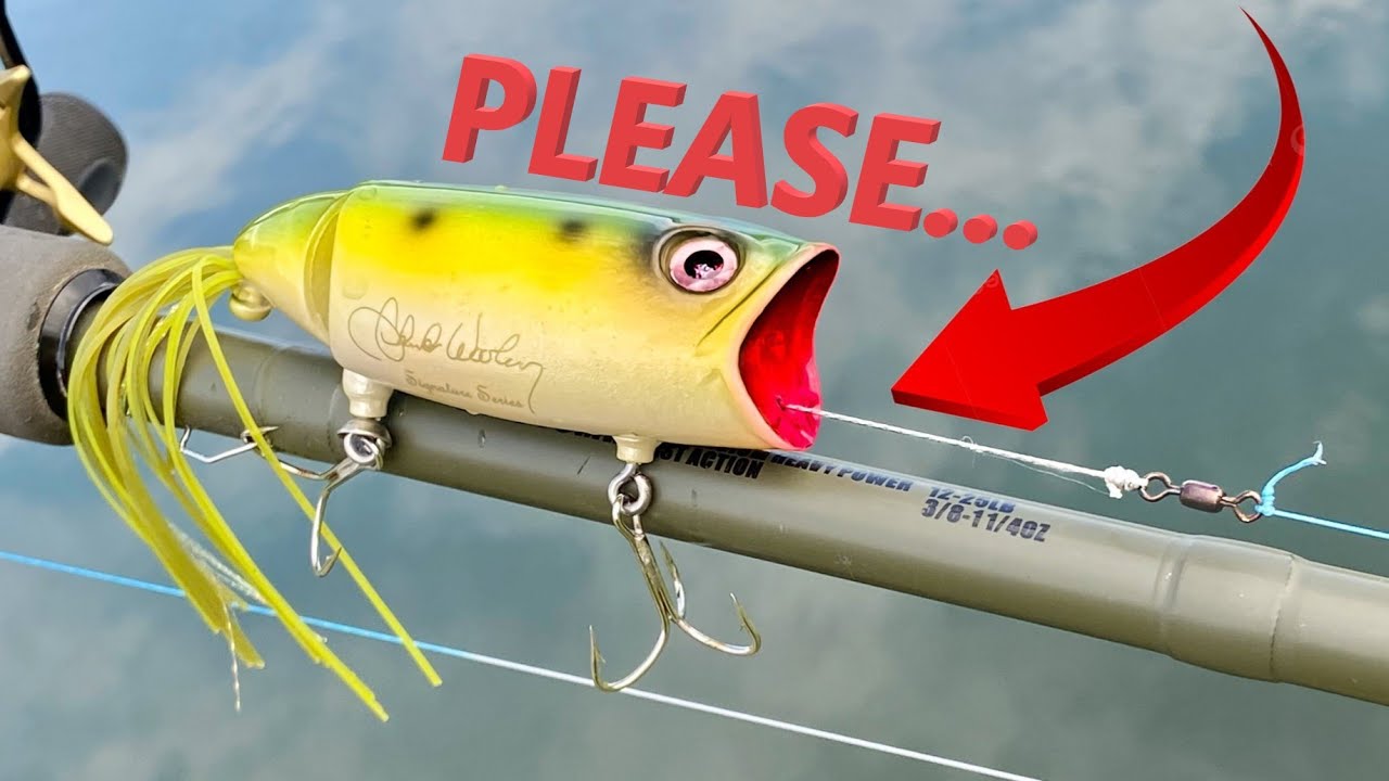 It Needs You to Pull the String. | Lure Review