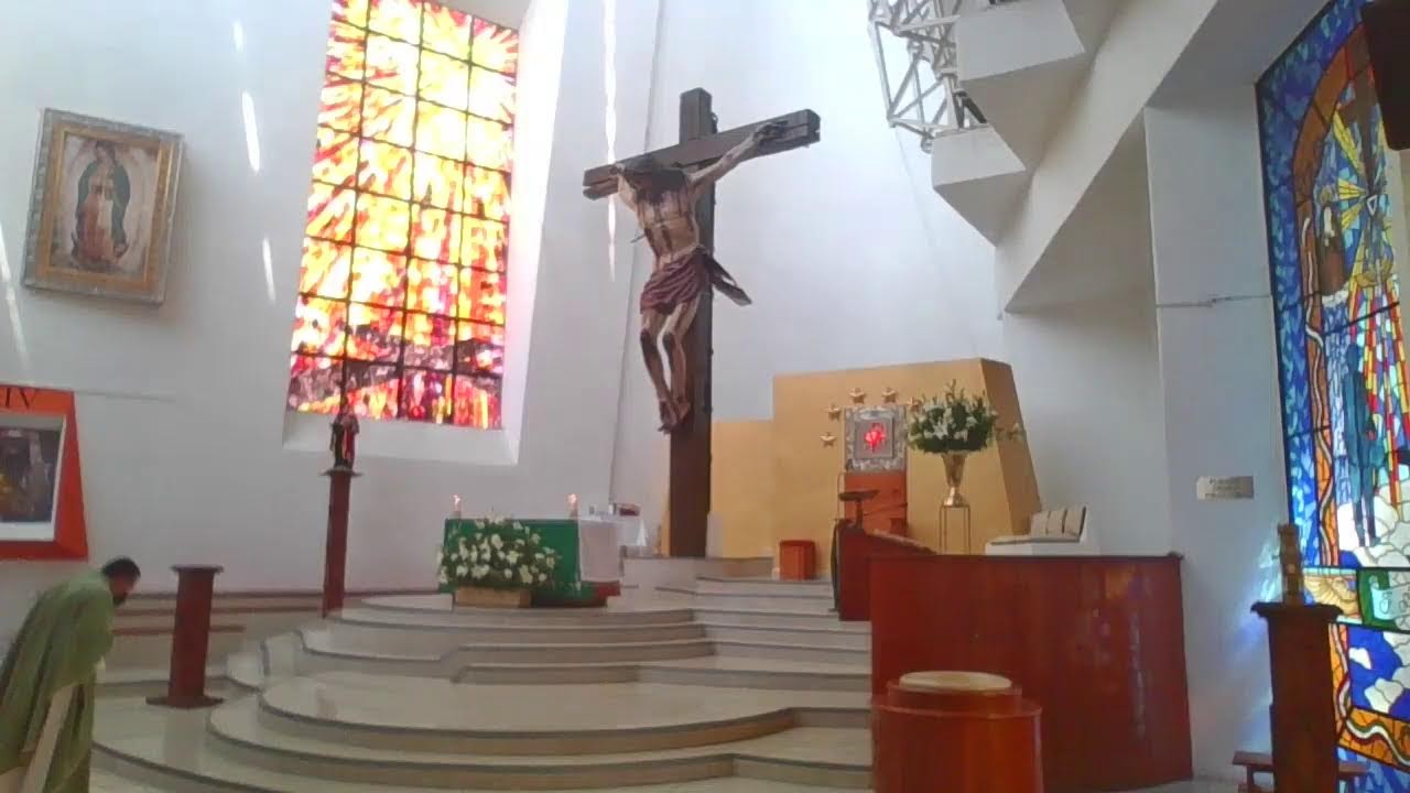 Santa Misa Solemne Domingo VI del Tiempo Ordinario, 15 de febrero de 2026.