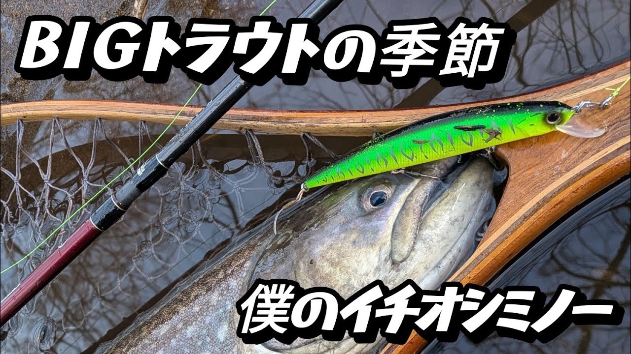ＢＩＧトラウトの季節【僕のイチオシミノー】