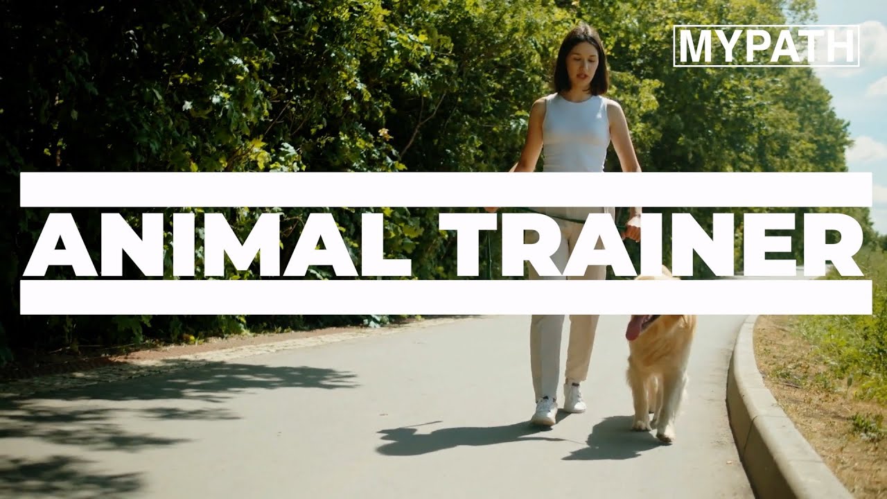 JOB OF THE WEEK - EPISODE #158 - ANIMAL TRAINER