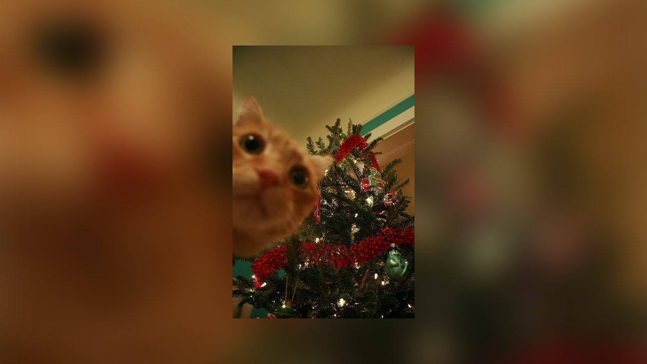𝓘𝓽𝓼 𝓬𝓱𝓻𝓲𝓼𝓽𝓶𝓪𝓼 𝓽𝓲𝓶𝓮!❄️~☃️A Christmas Playlist for you! 🎁
