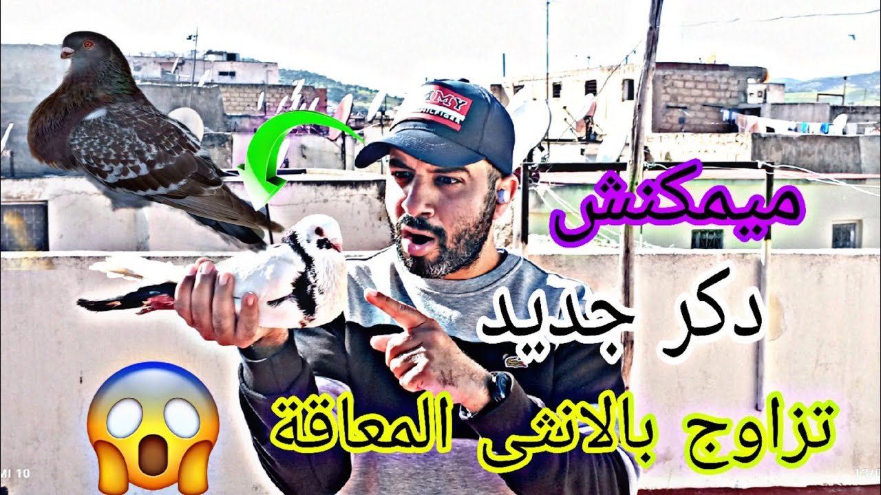ميمكنش دكر الغرابي ونتوة ديالو هربو ليا 😤 ودكر سيفيانوس جديد تزااااوج بالانثى المعاقة 🤯