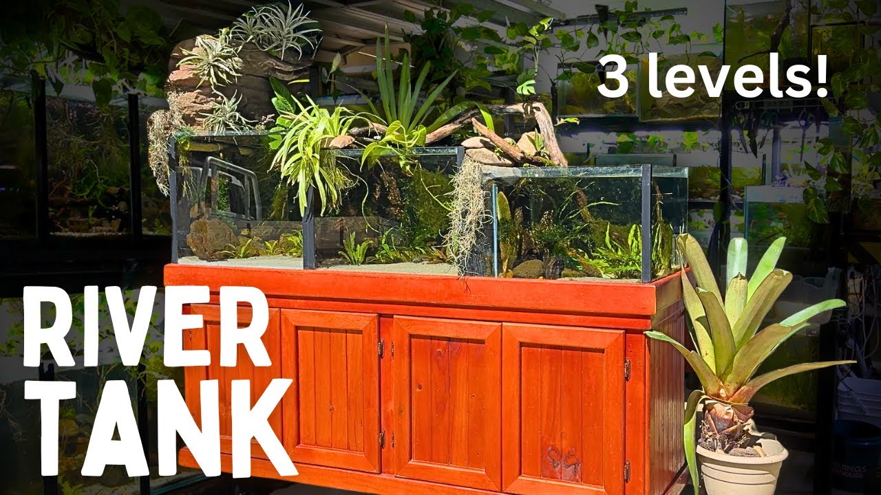 3-Tier Sunlit River Aquarium (with a Waterfall)